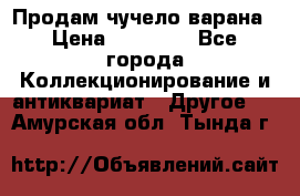 Продам чучело варана › Цена ­ 15 000 - Все города Коллекционирование и антиквариат » Другое   . Амурская обл.,Тында г.